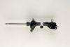 BILSTEIN 22-166500 Shock Absorber
